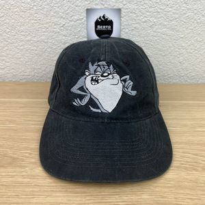 TAZ Tasmanian Devil Vintage 1995 Looney Tunes Snapback Cap Dad Hat